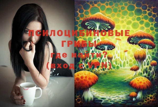 трава Корсаков
