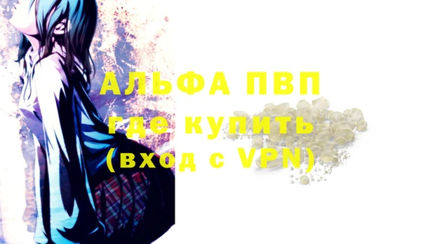 трава Корсаков