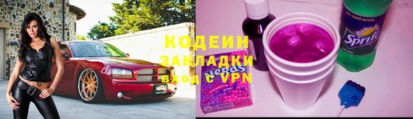 трава Корсаков