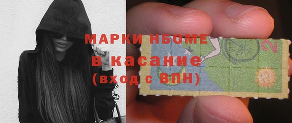 трава Корсаков