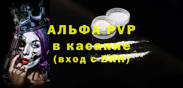 трава Корсаков