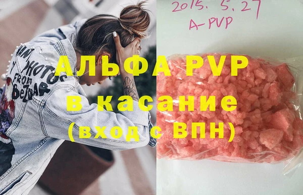 трава Корсаков