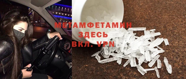 трава Корсаков