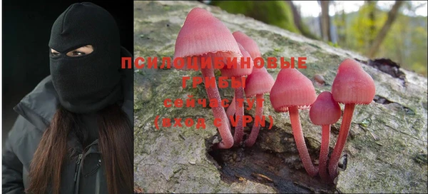 скорость Коряжма
