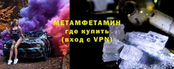 трава Корсаков