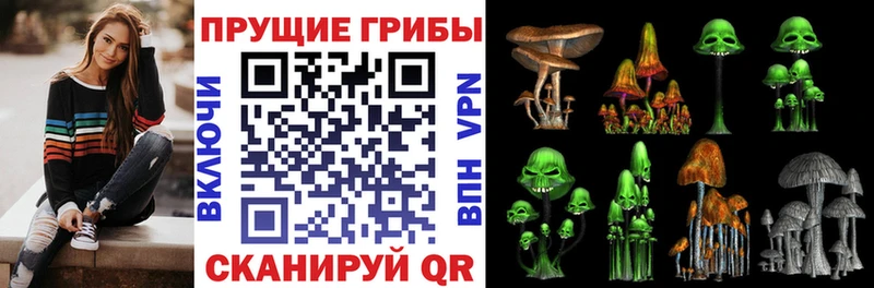 Купить закладки  Горячий Ключ  Псилоцибиновые грибы мицелий 